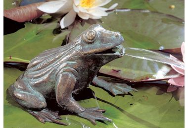 Wasserspeier-Frosch, Bronze